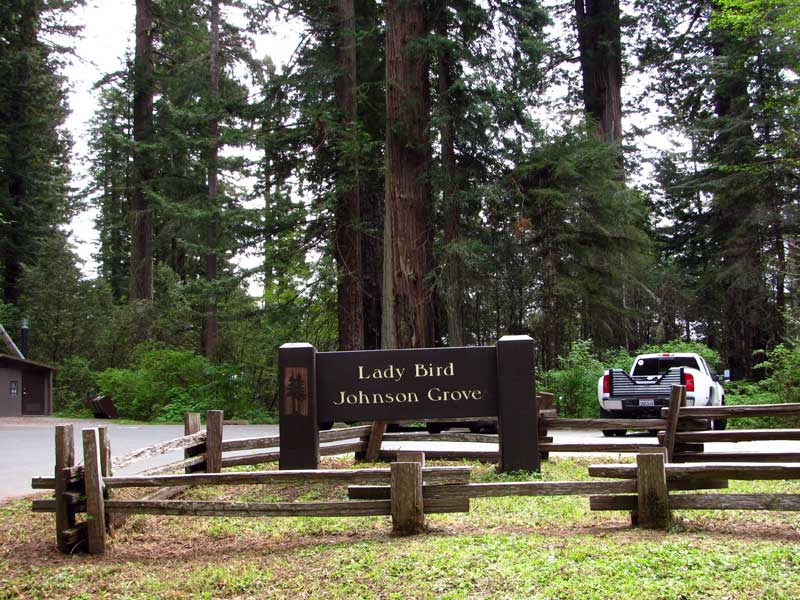 [LBJ-Grove-2blg.jpg]