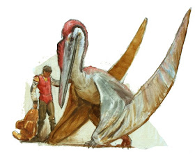 How Did Pteranodon Walk?