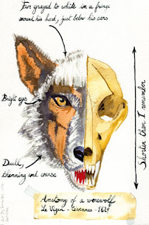 http://1.bp.blogspot.com/_Eiwce13X738/Sv_4WvZlq1I/AAAAAAAAHc8/wL3oPM5DYwc/s320/anatomy-werewolf-antoine-micheau.jpg