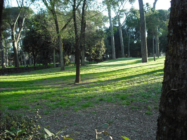 [DSCF0034.JPG]