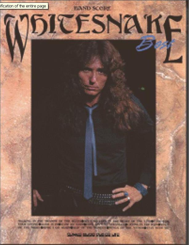 [whitesnake+best.JPG]