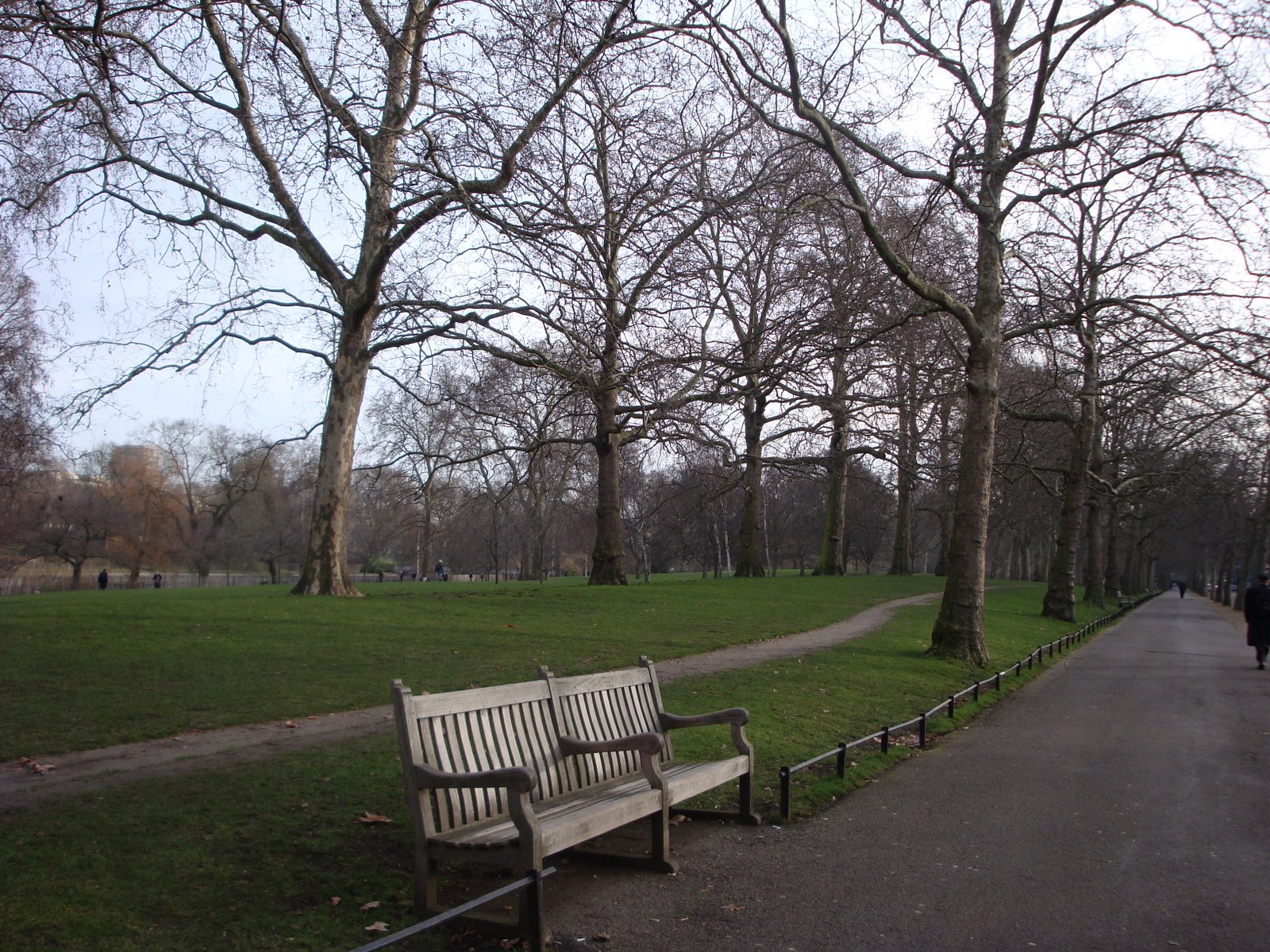 [DSC01499.JPG]