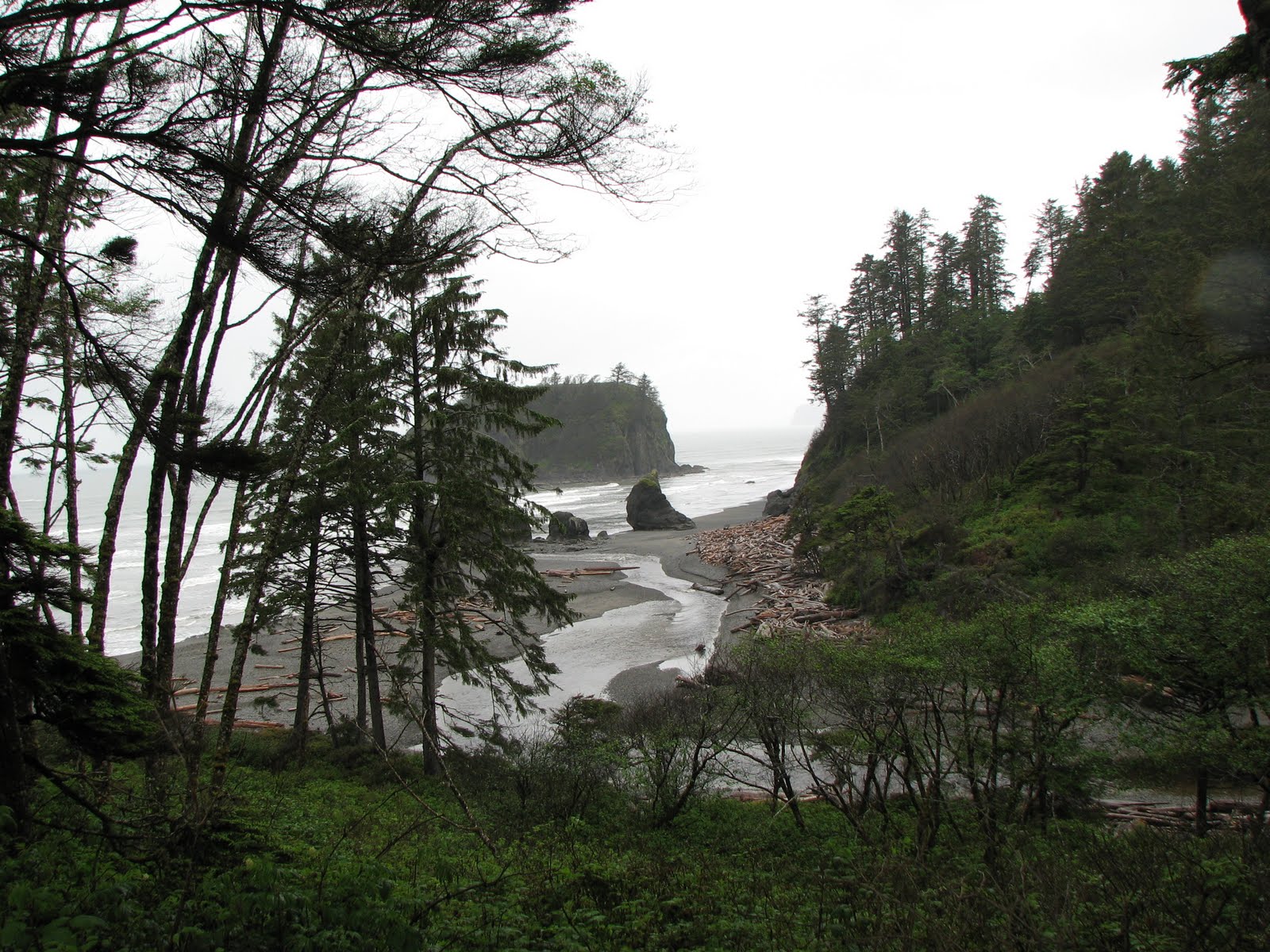 2010 trip Forks, Washington