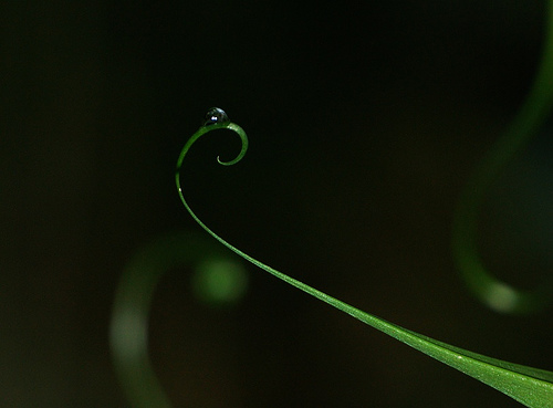 [148308885_37f200ca6b.jpg]