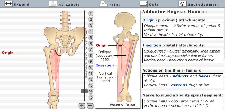 Kelownagurl: No Pain, No Gain?