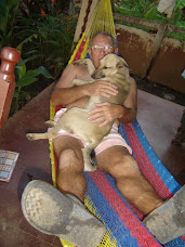 Pat and the luckiest dog in the world: Dogui