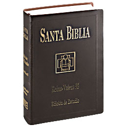 Descargar Gratis Biblia Reina Valera 1960 Formato Word Excel