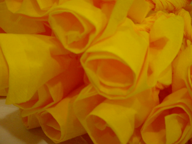 [DSC02024.JPG]