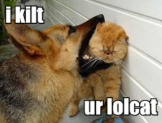i-kilt-ur-lolcat.jpg