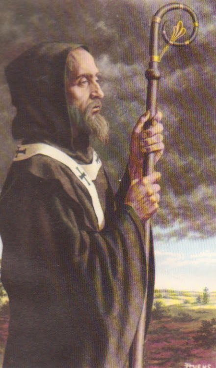 De H. Amandus, apostel van Belgie