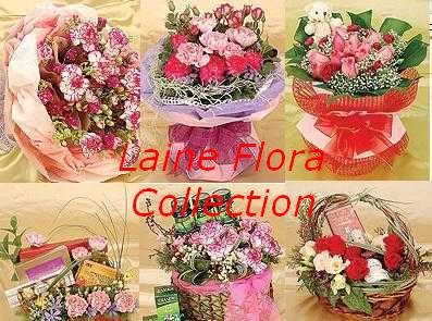 Laine Flora Collection