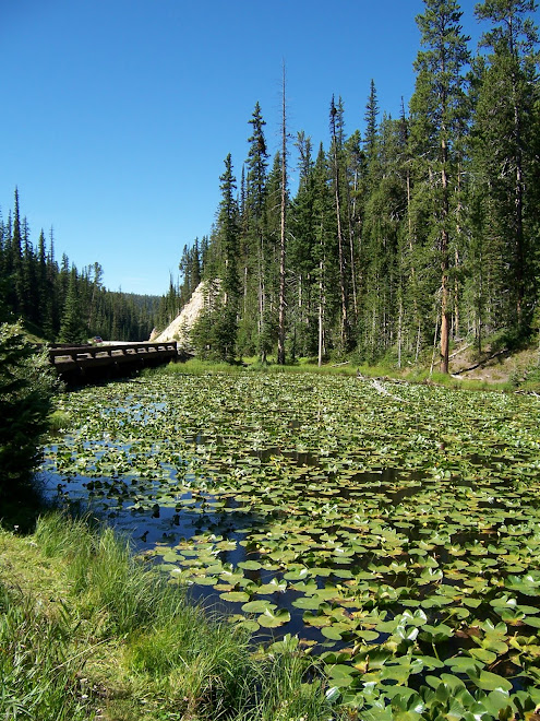 Yellowstone