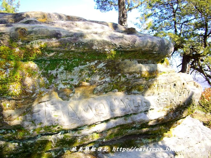 [nEO_IMG_CIMG0249.jpg]