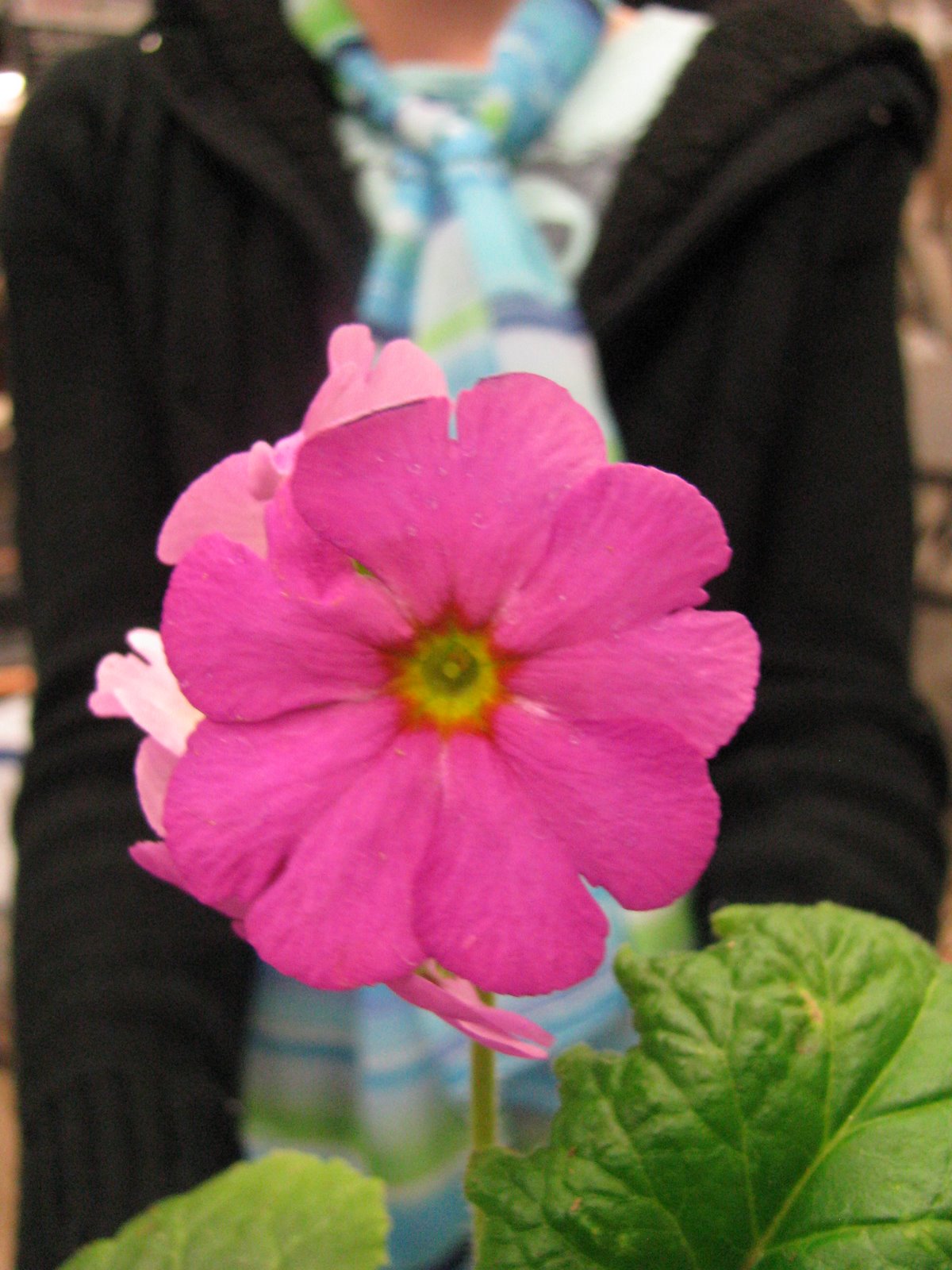 [IMG_4359.JPG]