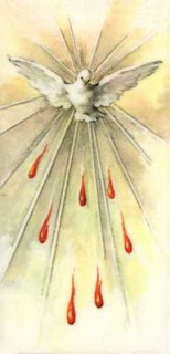 http://1.bp.blogspot.com/_EwYBmGNlqWc/SCgw8M-udiI/AAAAAAAAA-c/5w2Ht2avr3M/s320/PalomaPentecostes.jpg
