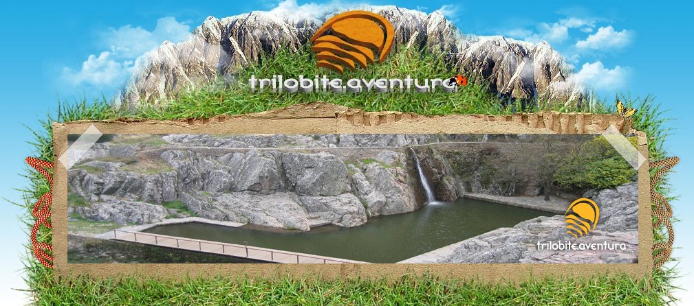 [Trilobite.bmp]