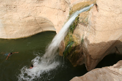 Cascada en el Oasis de Tameghza