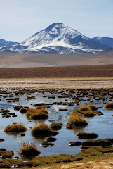 Lacs de l'Altiplano