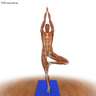 Hatha Yoga en imágenes