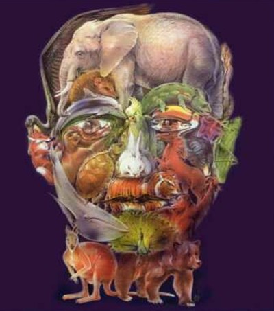 Scary Face Illusion