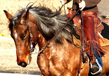 Wyoming Hair Coat