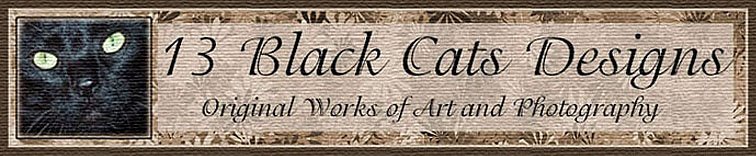 13 Black Cats Designs