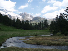 EL RÍO QUE NOS LLEVA