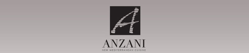 Anzani Blog