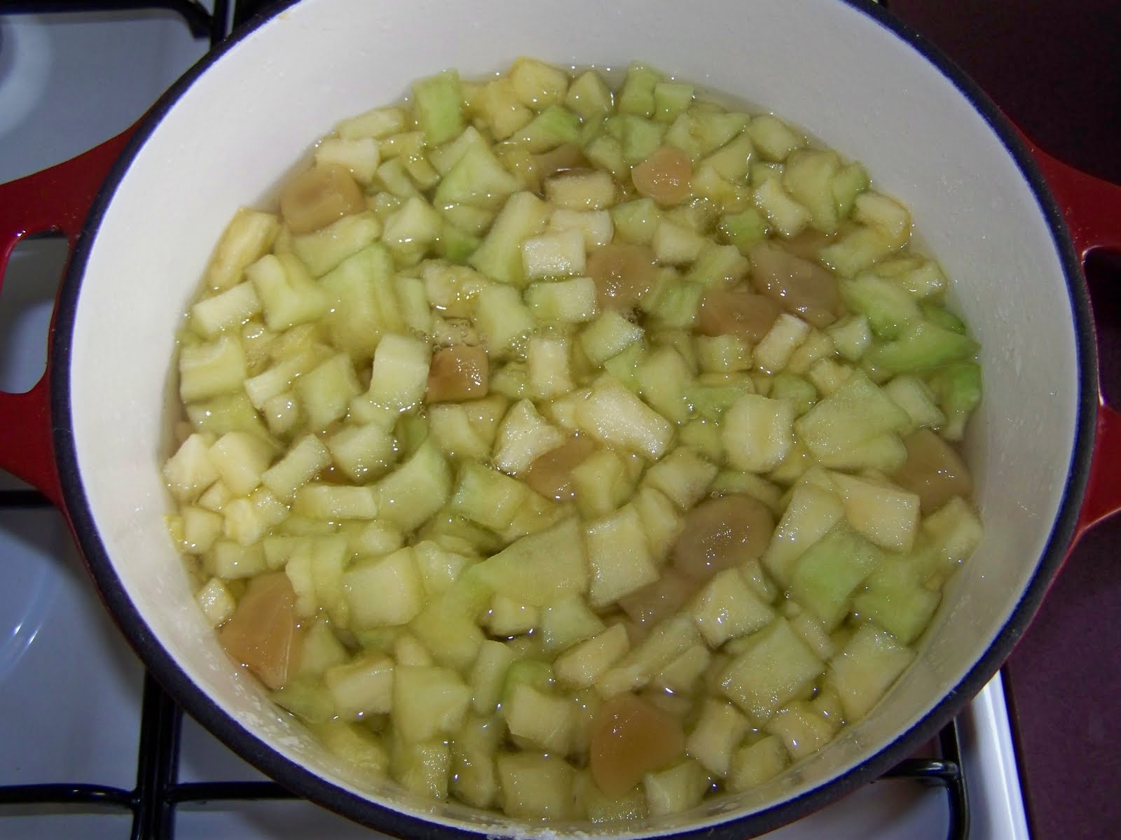 Secret Hippie Jam melon and ginger jam