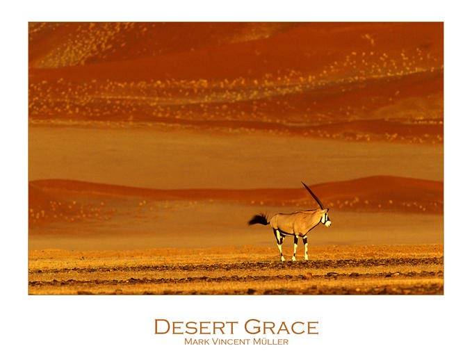 [Desert+Grace.bmp]