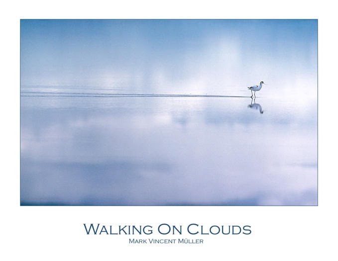 [Walding+on+clouds.bmp]