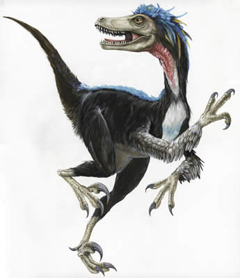 [4_velociraptor.jpg]
