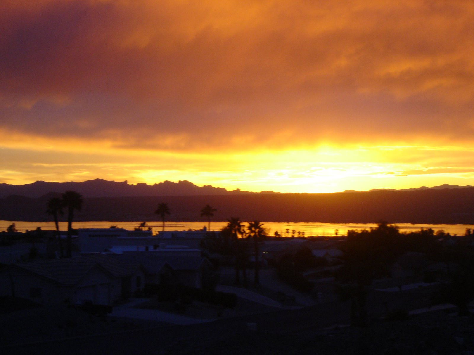 [DSC00964.JPG]