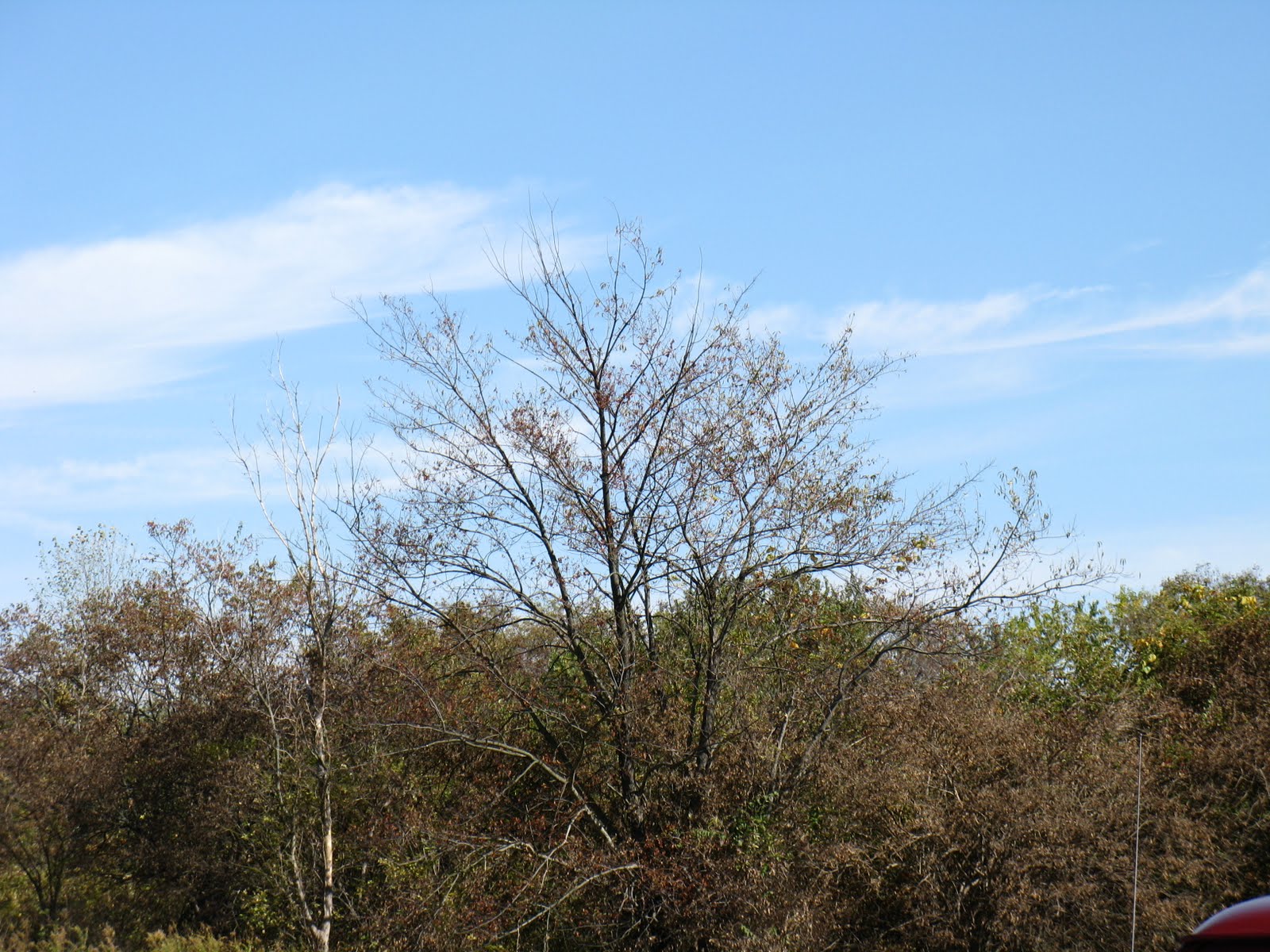 [IMG_2091.JPG]