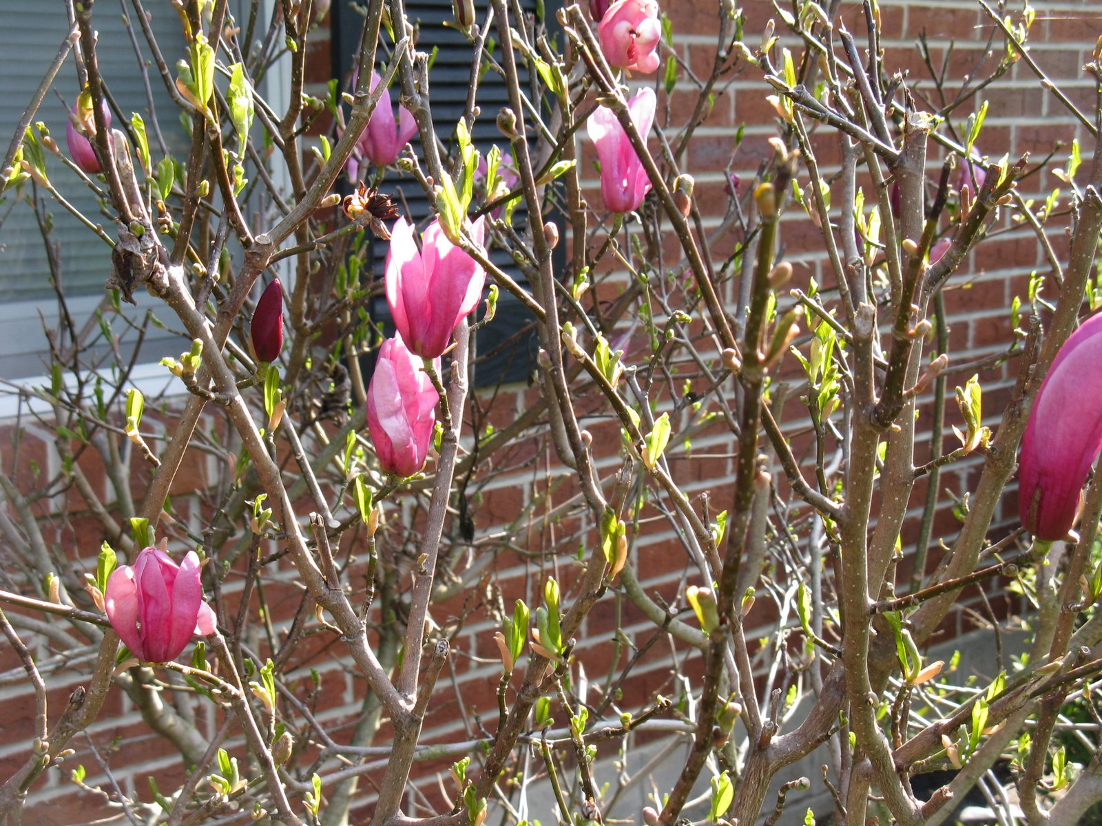 [IMG_3076.JPG]