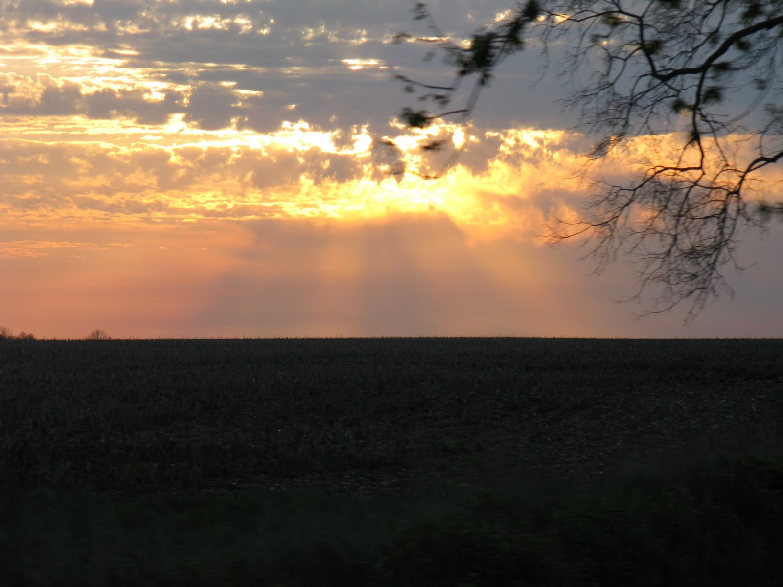 [IMG_3126.JPG]