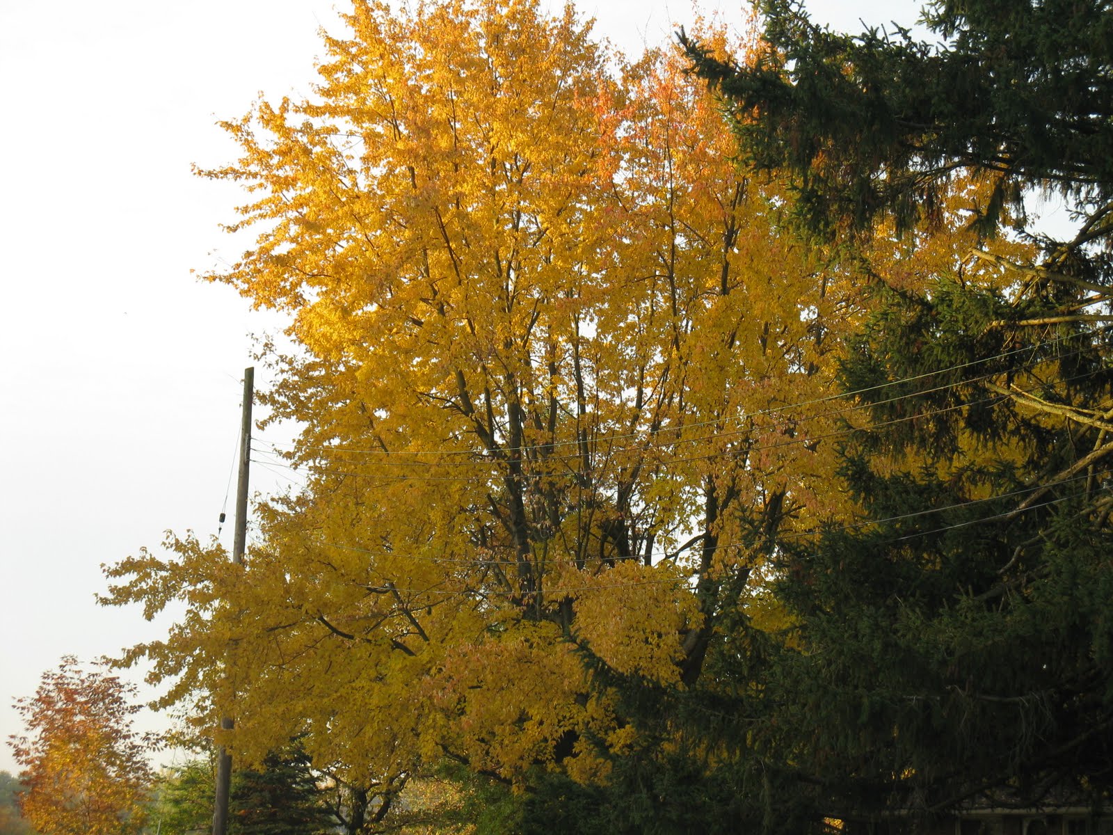 [IMG_0254.JPG]