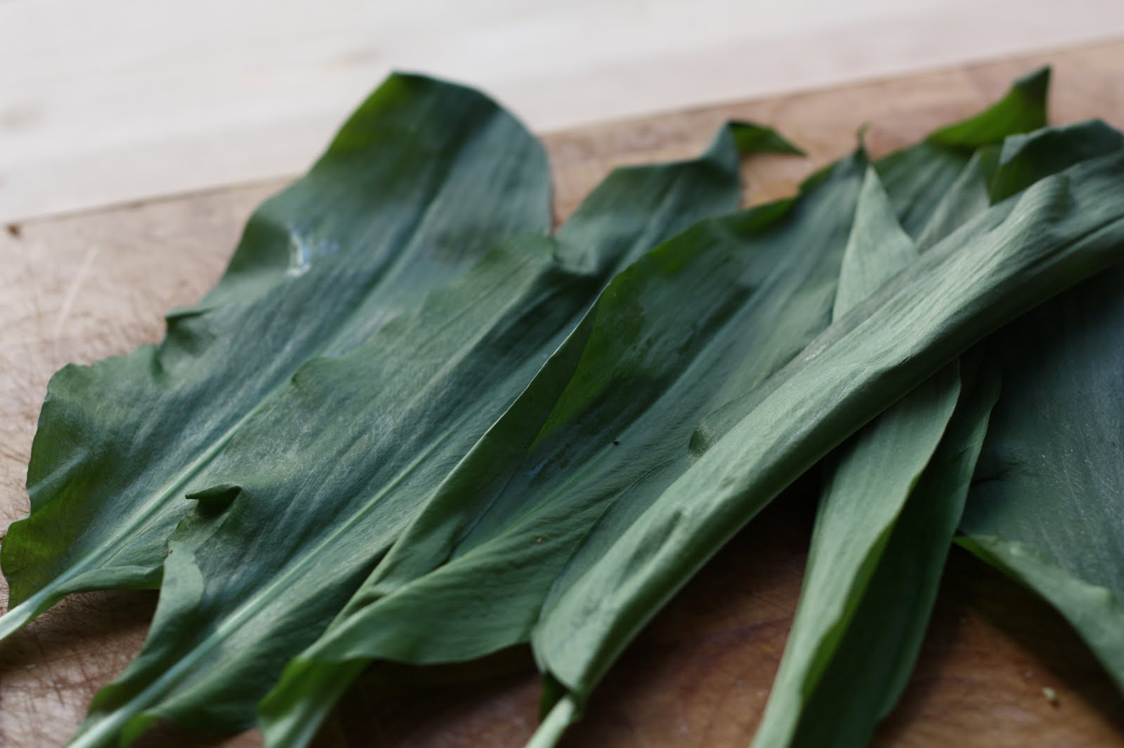 Wild Garlic Leaves