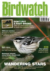 [Birdwatch196coverlarge.jpg]