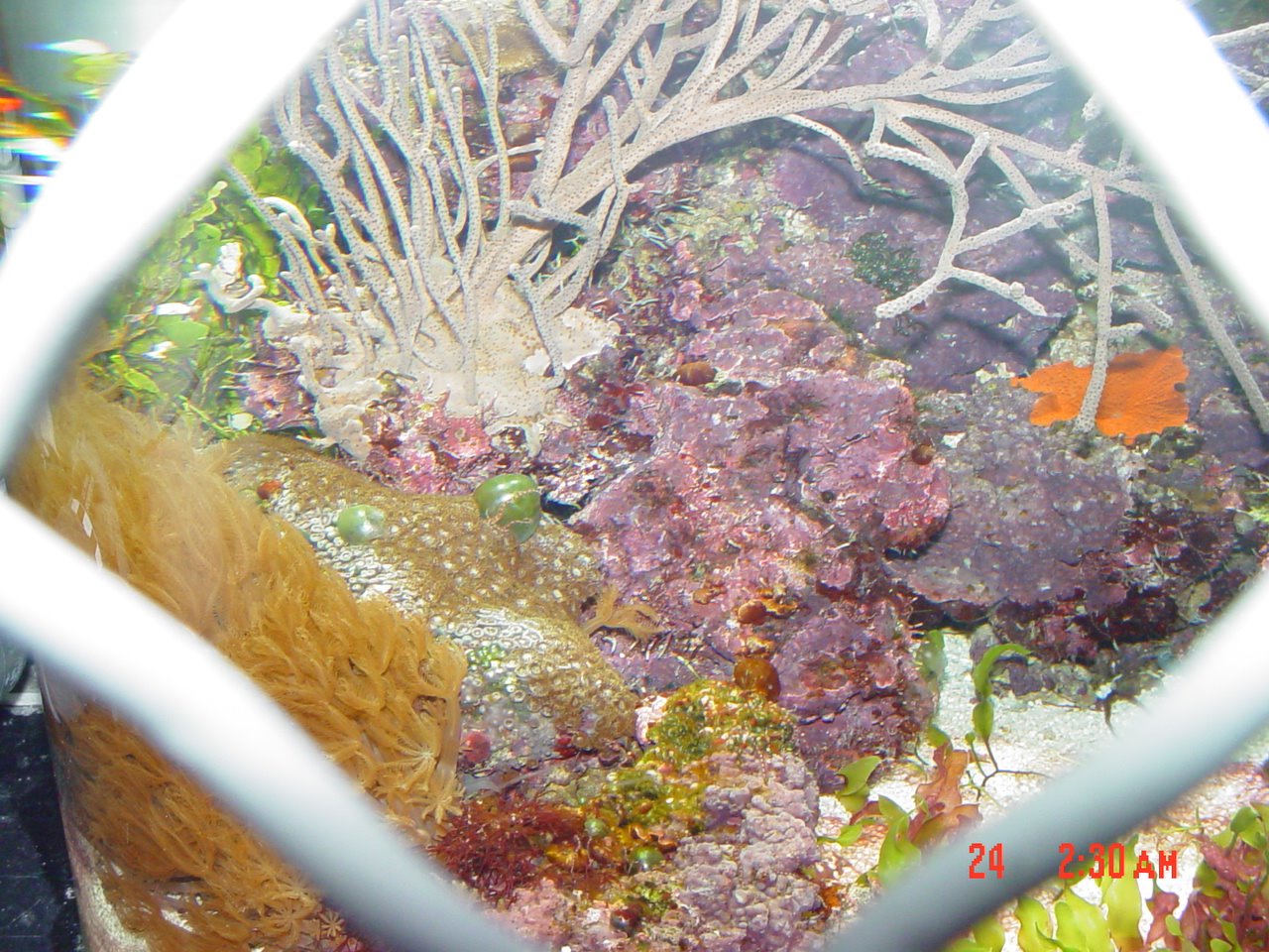 [DSC08170.JPG]