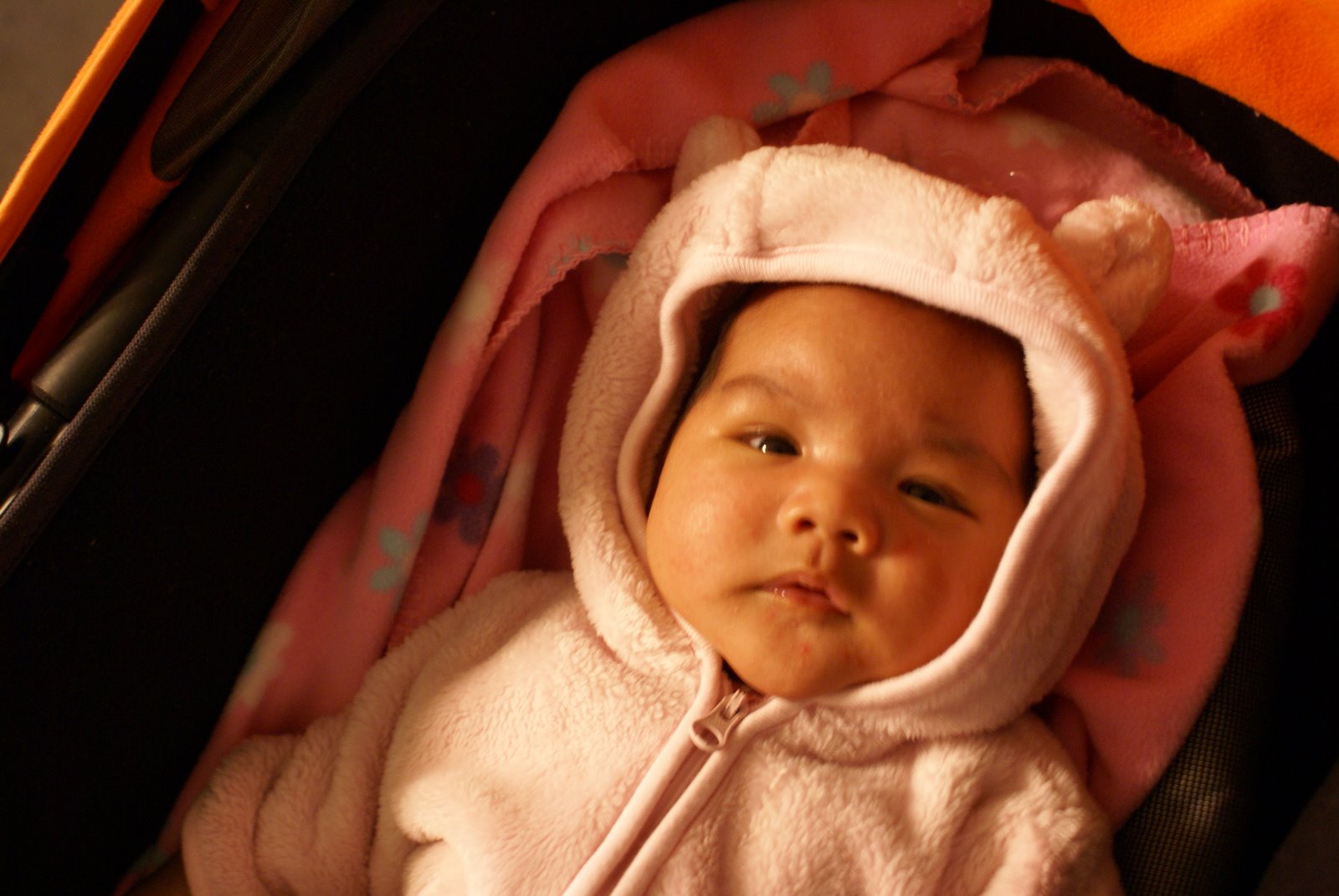 [DSC00675.JPG]