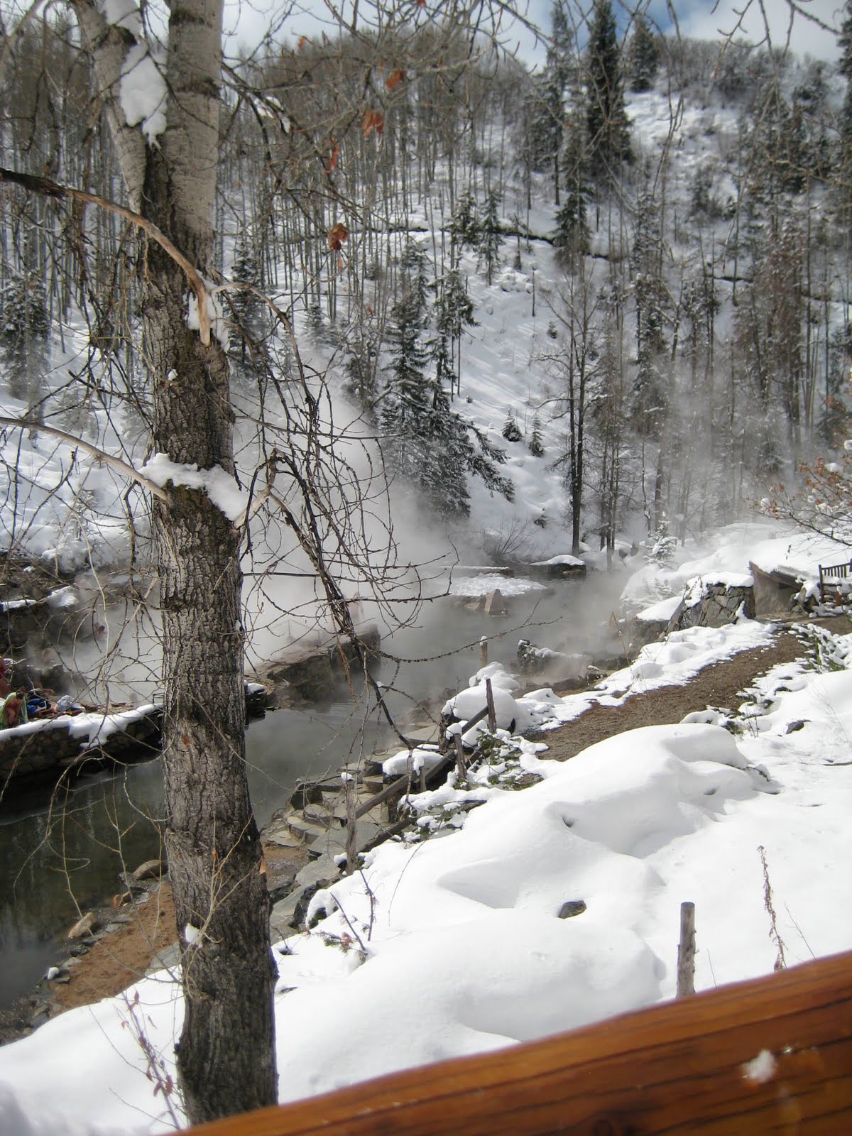 [IMG_8392.jpg]