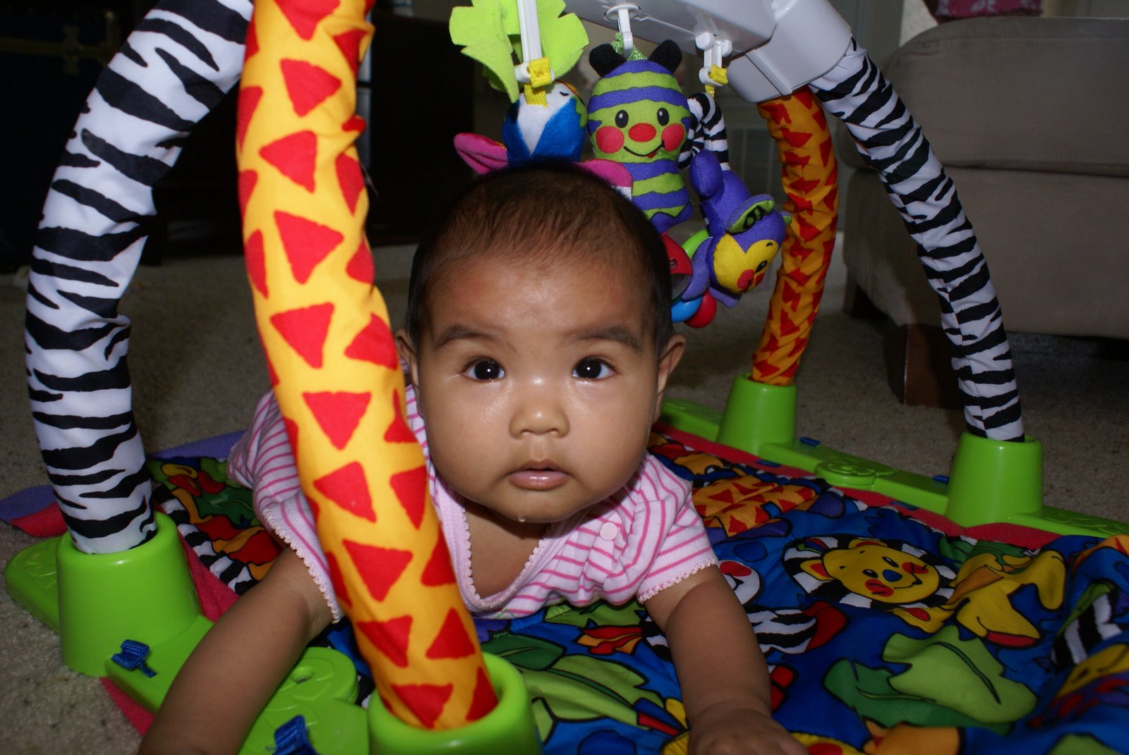 [DSC01414.JPG]