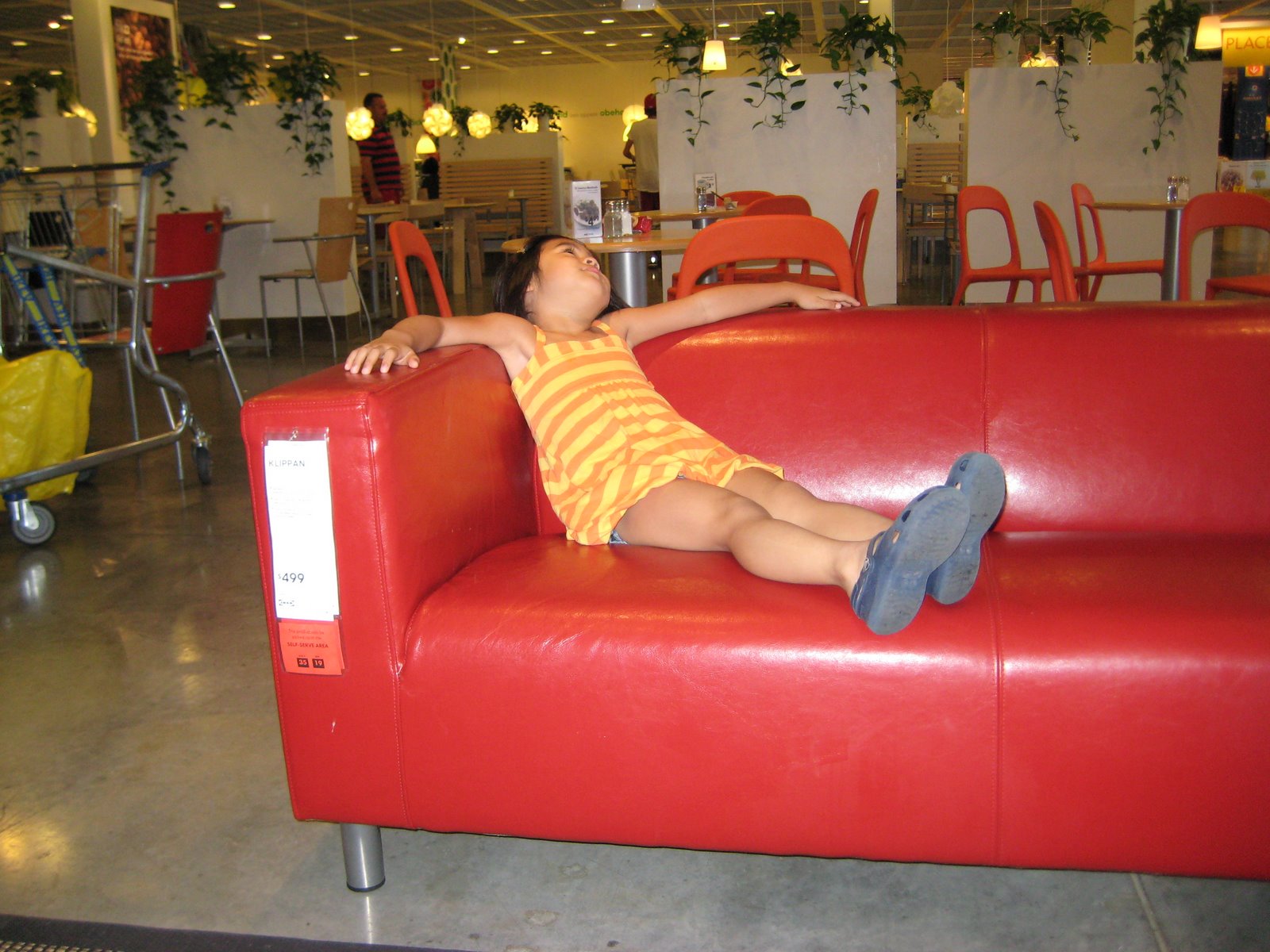 [IMG_5862.JPG]