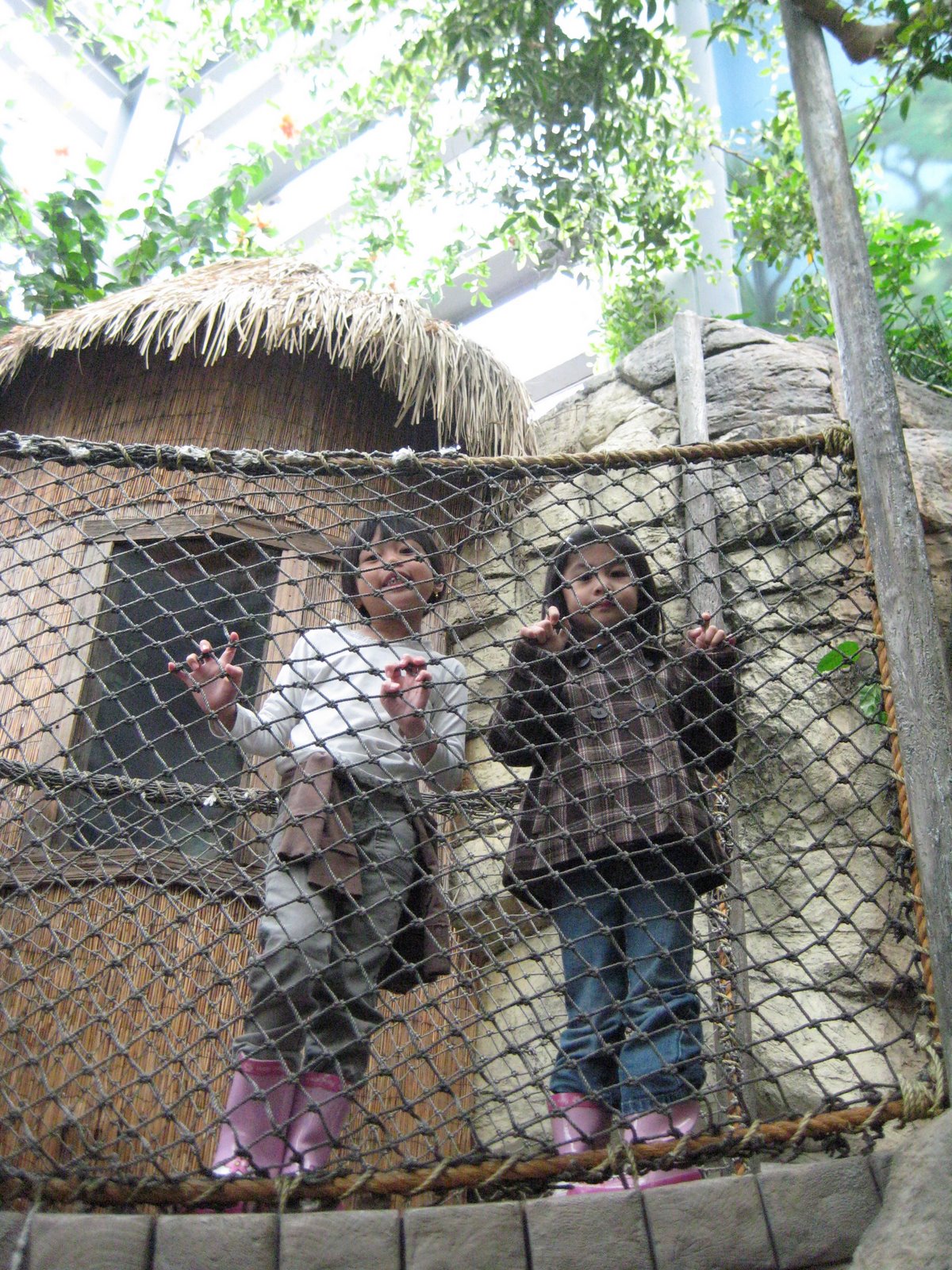 [IMG_6035.JPG]