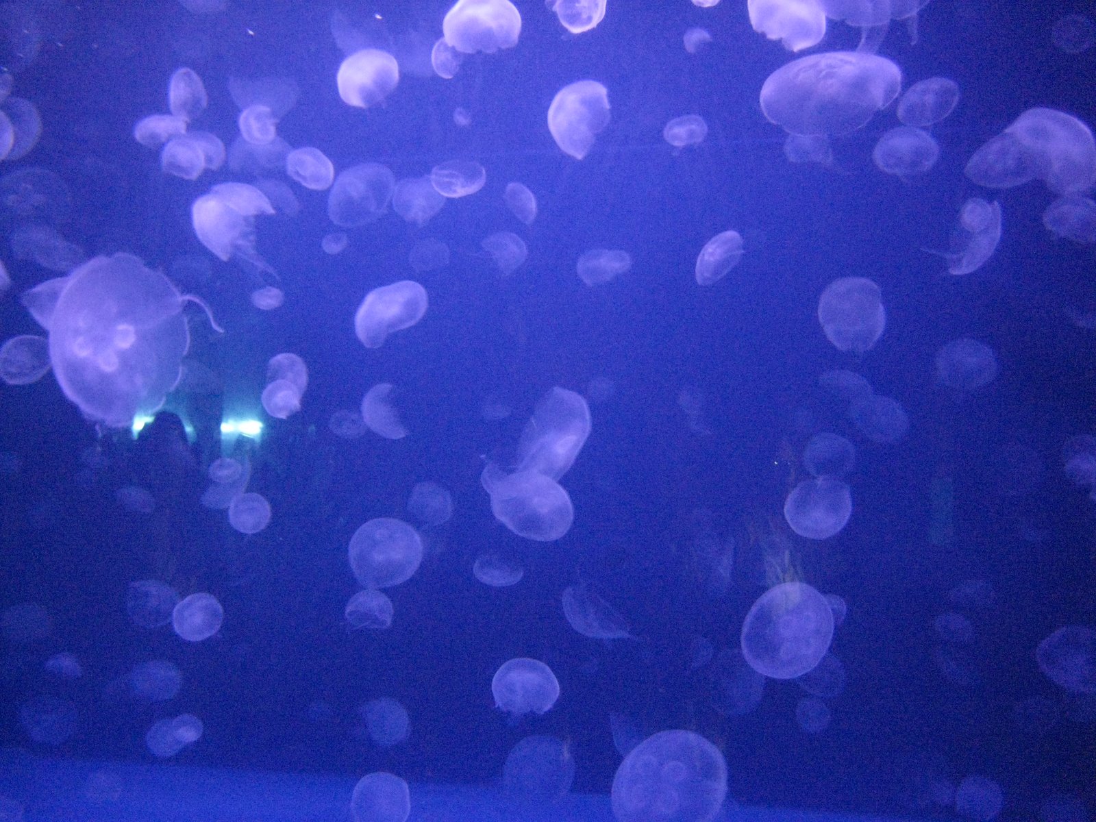 [IMG_6040.JPG]