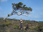Halepe TrailBig Island Hawaii (dsc )