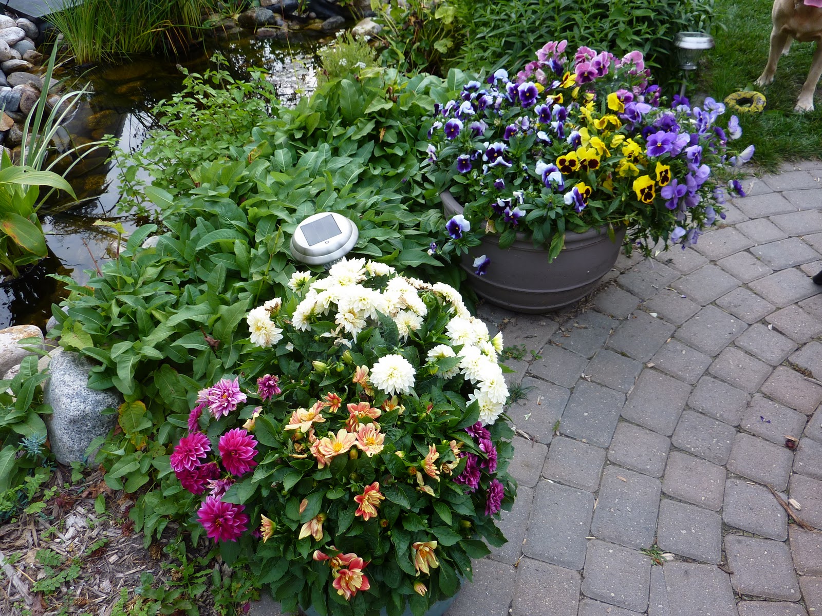 LIFE IS GOOD: THE GARDEN