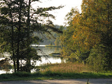 Vacker utsikt från stugan på landet