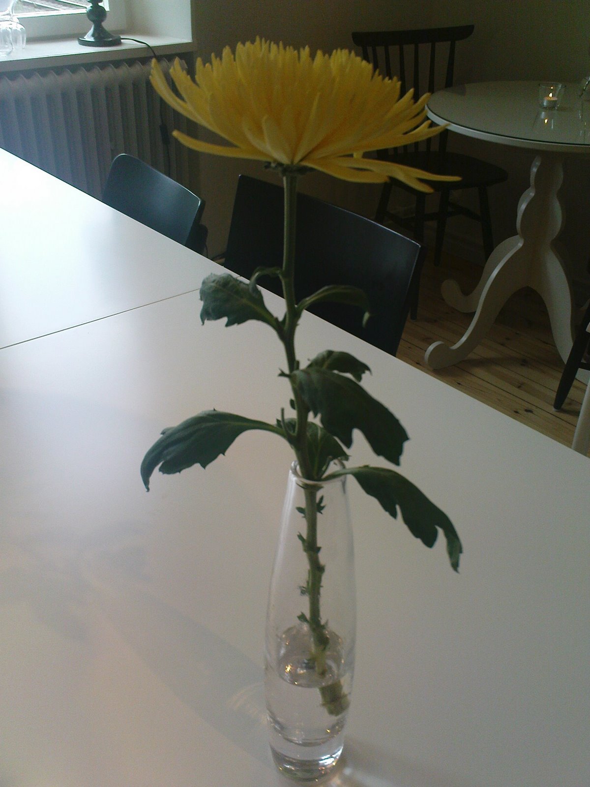 [DSC01001.JPG]